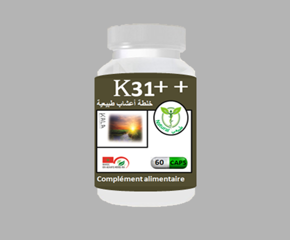 newproduct/K31-1.png